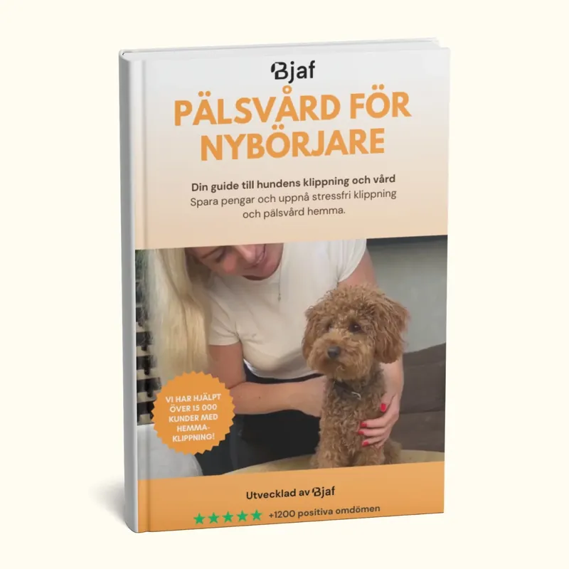 Köp nu Pälsvård för nybörjare (E-bok)