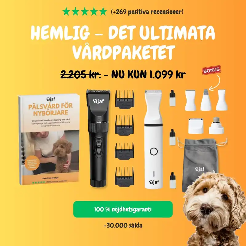 Rea HEMLIG – Det ultimata vårdpaketet FÖRHANDSBESTÄLLNING, FÖRVÄNTAS LEVERERAS VECKA 41/42
