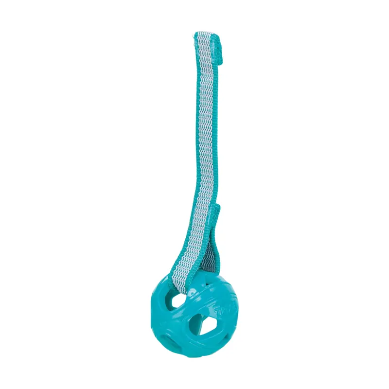 Populärt val Trixie Honeycomb Boll med Rep