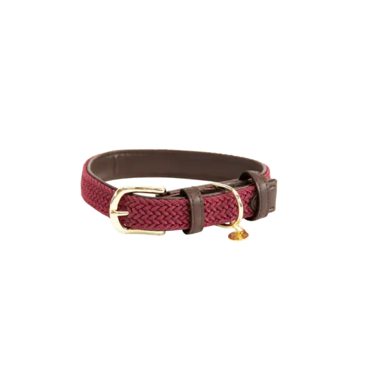 Rabatt Kentucky flätad hundhalsband i nylon - Bordeaux