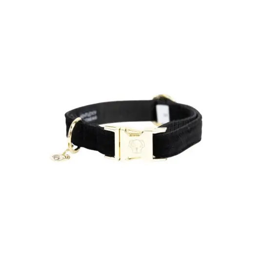 Erbjudande Kentucky Dog Collar manchester - Svart