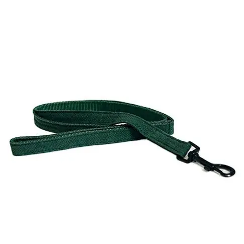 Köp nu Kentucky Dog Lead Lizard - Grön - 120 cm