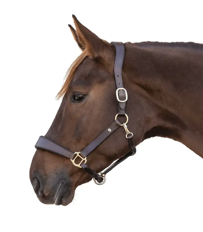 Fynd Waldhausen - X-Line Anatomical Leather Halter - Brun
