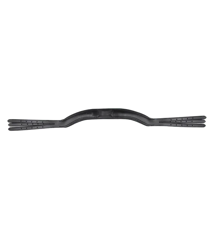 Kampanj Waldhausen Crown X-Line Newshape Neckpiece