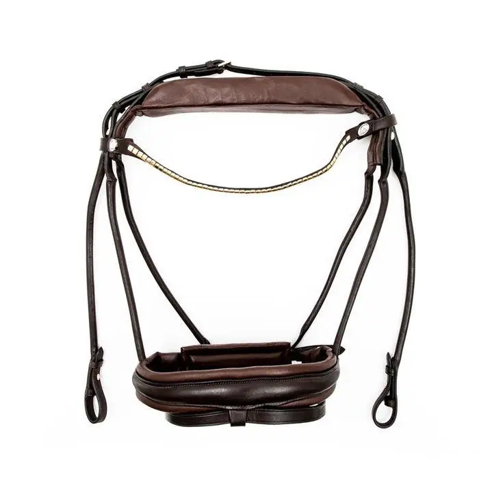 Lågt pris Finesse Bridles - "Cassidy Bridle" - brunt/brunt/guld