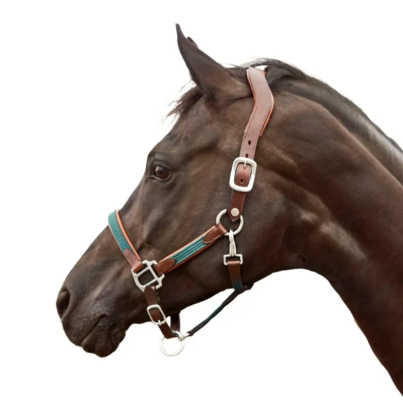 Erbjudande Finesse Bridles Lädergrimma - Brun