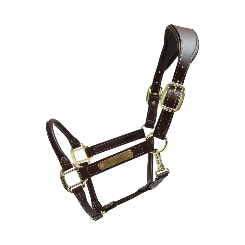 Expressleverans Kentucky Horsewear Anatomical Halter i konstläder - Brun