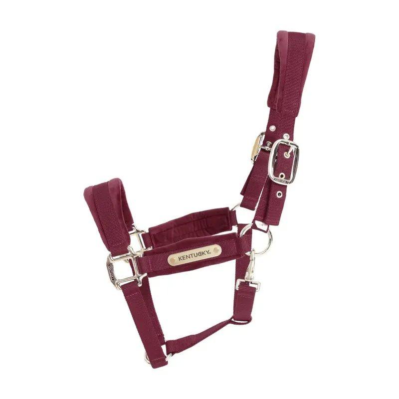 Fynd Kentucky Velvet Grimma - Bordeaux