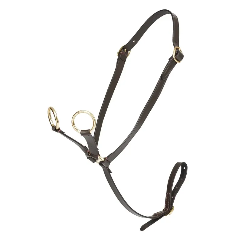 Rea LeMieux Toy Pony Martingale - Brun