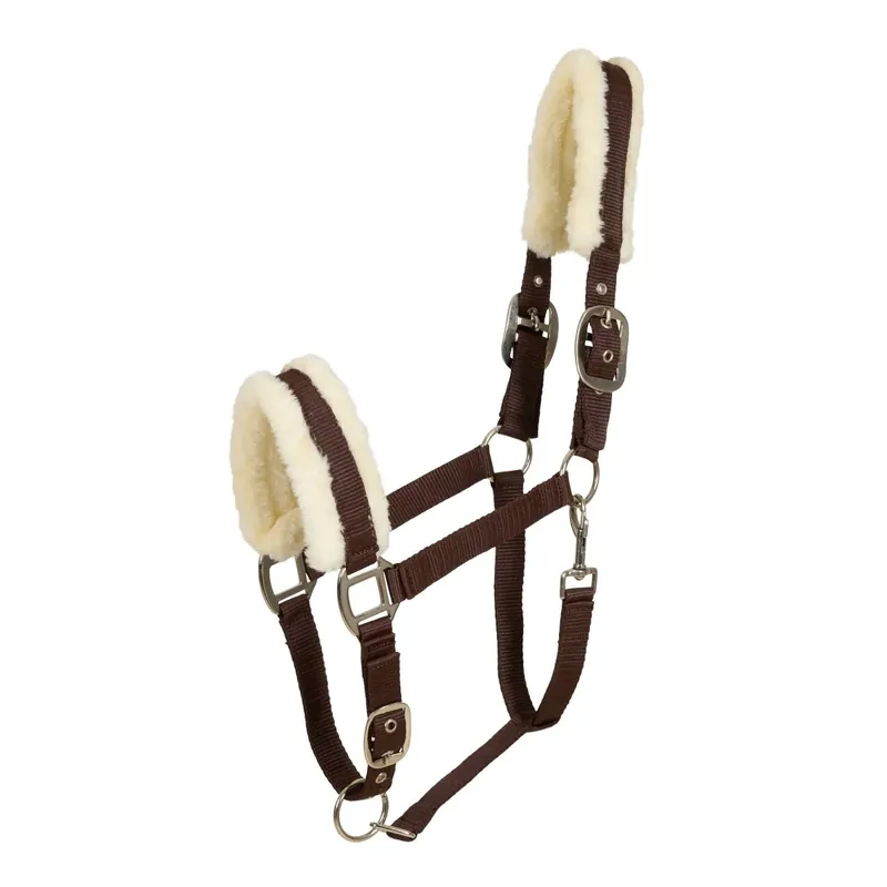 Köp online Cavalli Teddy Grime - Choklad