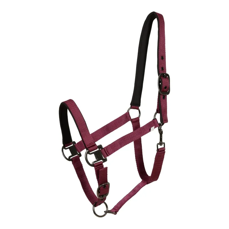 Begränsat erbjudande Cavalli Classic Grime m. Neopren - Bourgogne