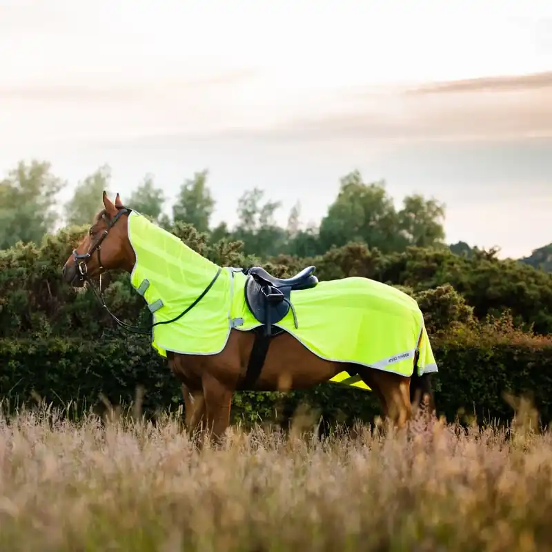 Amigo Flyrider från Horseware Kampanjpris