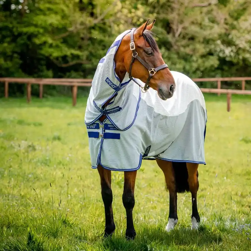 Amigo Airflow från Horseware Köp nu