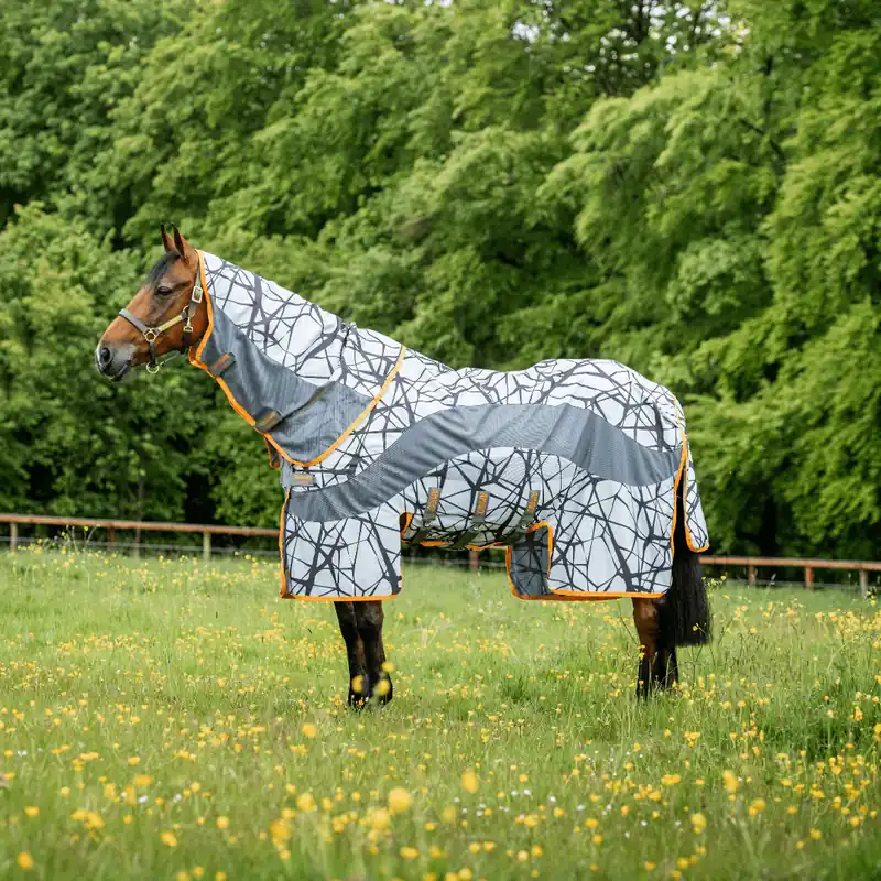 Begränsat antal Amigo 3-i-1 CamoFly Plus från Horseware
