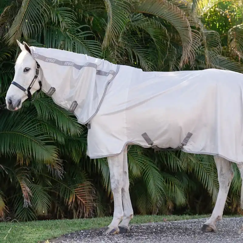 Beställ nu Amigo Integrated Fly Sheet från Horseware