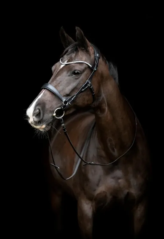 Gentle Bridle - Komplett träns m. tyglar - Storlek Cob - Svart Trygg betalning