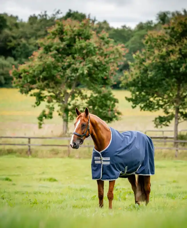 Amigo Ripstop 900 Lite/ 0G från Horseware Sänkt pris