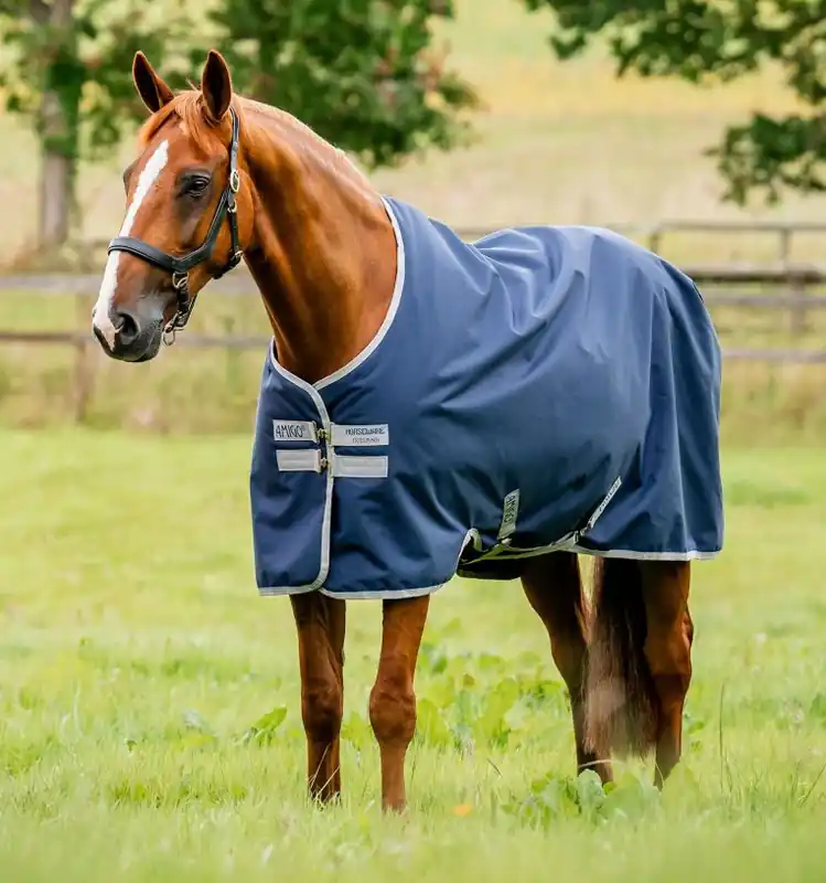 Bästa pris Amigo Ripstop 900 Lite/ 50G från Horseware