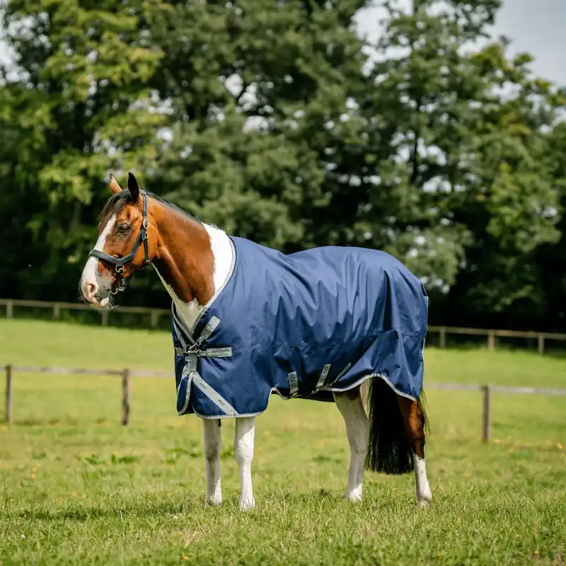Amigo 1200D Turnout 50G från Horseware Bästa pris