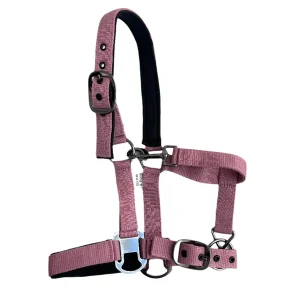 Cavalli Classic grimma med rem. Neopren - Old Rose Begränsad tid