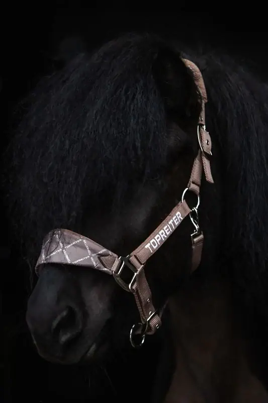 Top Reiter - "KLAKI" Halter Set - Tryffel Brun Begränsad tid