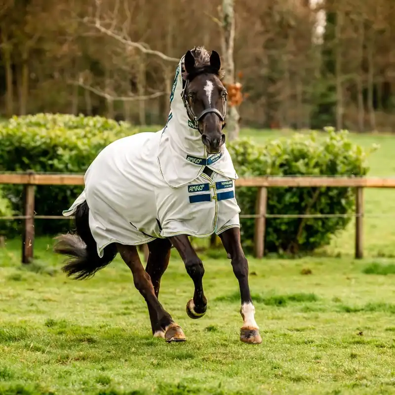 Lägg i varukorgen Amigo Bug Rug från Horseware