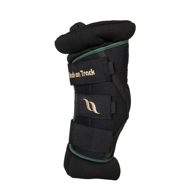 Begränsat antal Royal Hamstrings Deluxe från Back on Track