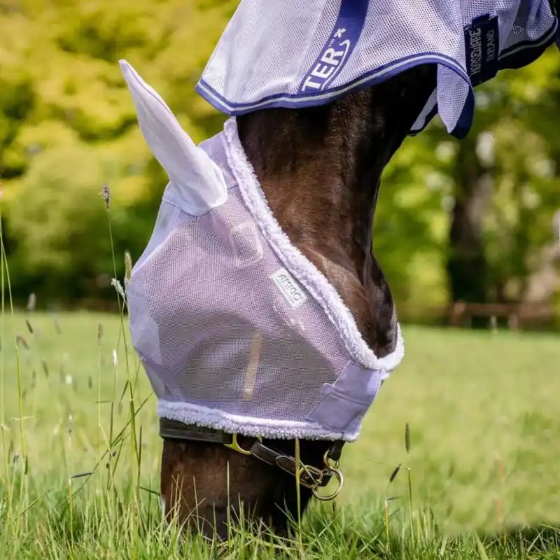 Amigo flugmask från Horseware Fynd