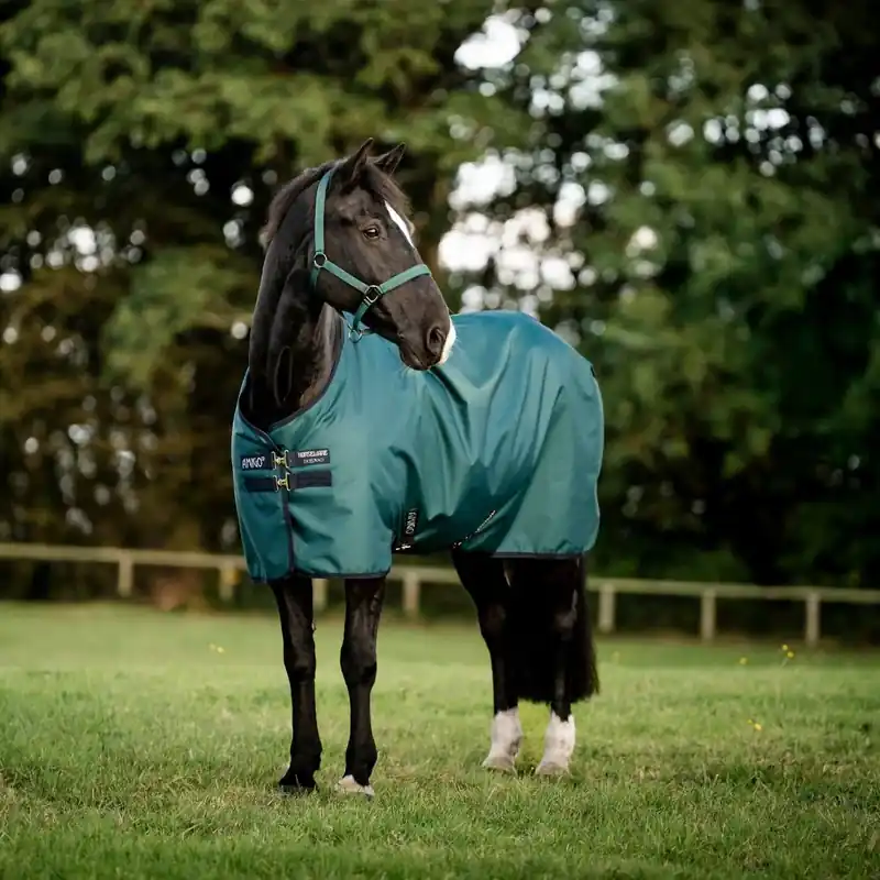 Horseware Amigo - Ripstop Regndækken 900D - 50 gram - Grøn Expressleverans