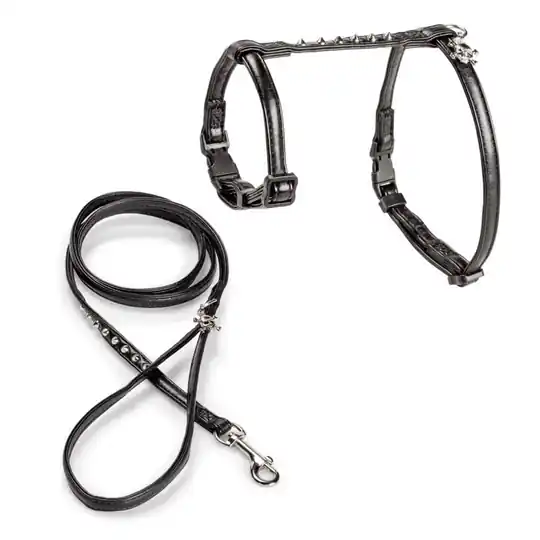 Basic Cat Rebel Sele + Koppel Svart Snabb leverans
