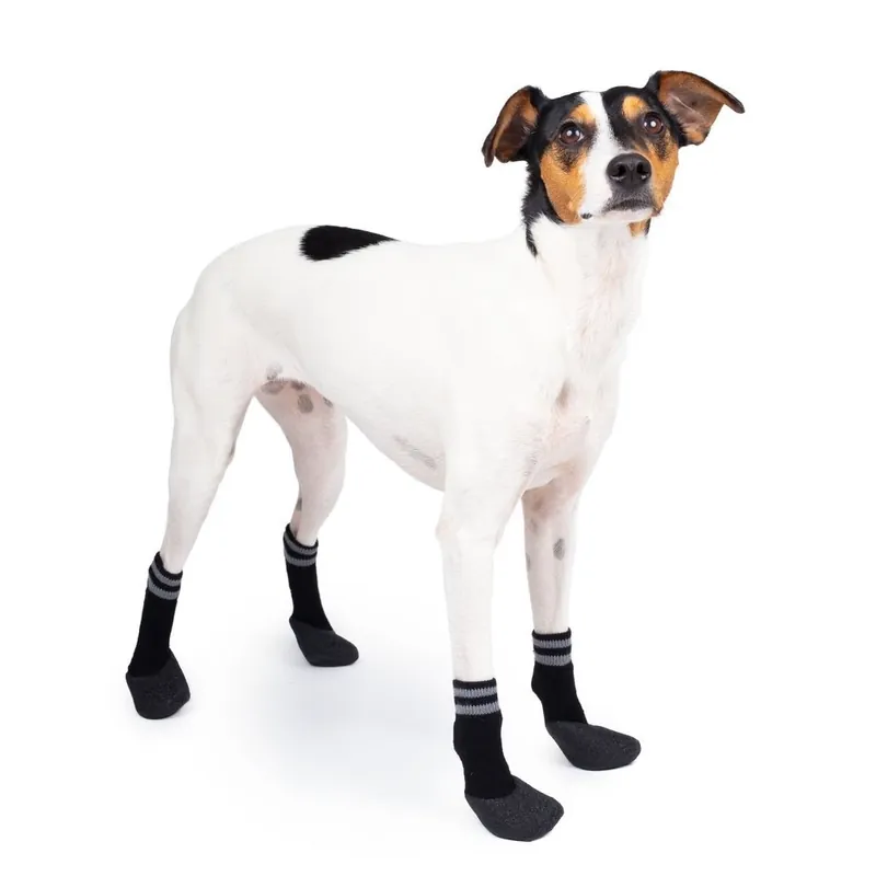 Basic Paws Hundstrumpor Svart 4-pack (1) Billigare