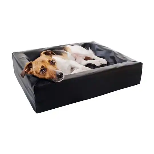 Populärt val Bia Bed Original Hundbädd Svart (60x50x12,5 cm)