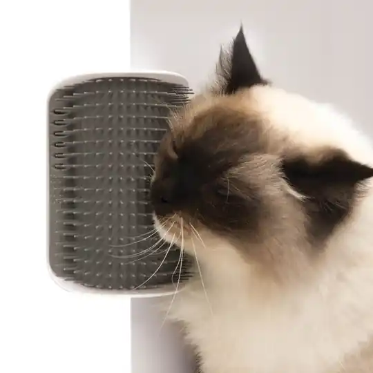 Snabb leverans Catit Senses 2.0 Self Groomer
