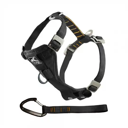 Köp online Kurgo Enhanced Strength Tru-Fit Smart Bilsele Hund Svart (S)