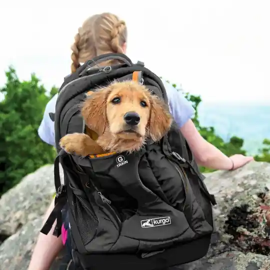 Kurgo G-Train K9 Pack Ryggsäck (Svart) Snabb frakt