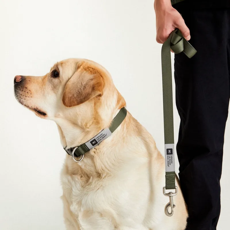 Makia Hundhalsband Grön (30-45 cm) Bästa pris