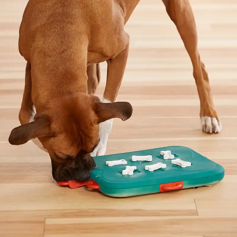 Säker betalning Nina Ottosson Dog Casino Turkos