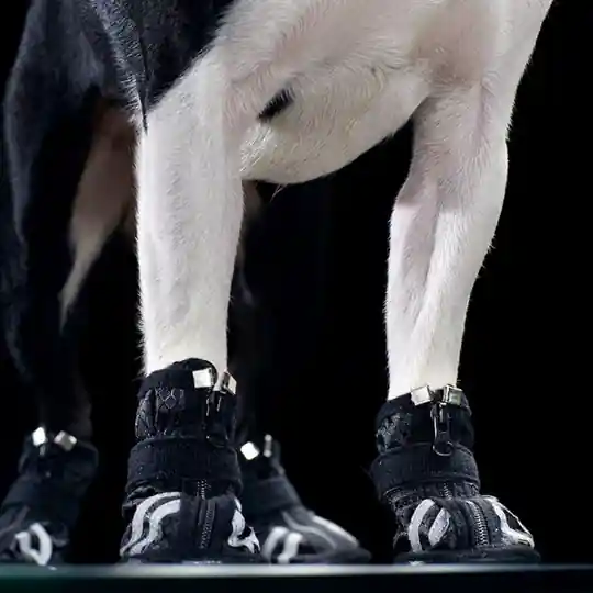 Rukka Step Hundskor Svart 4-pack (1) Trygg betalning