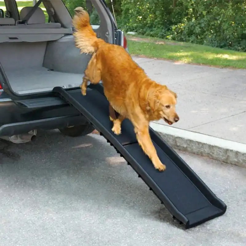 All For Paws Dog Bilramp (Plast) Beställ nu