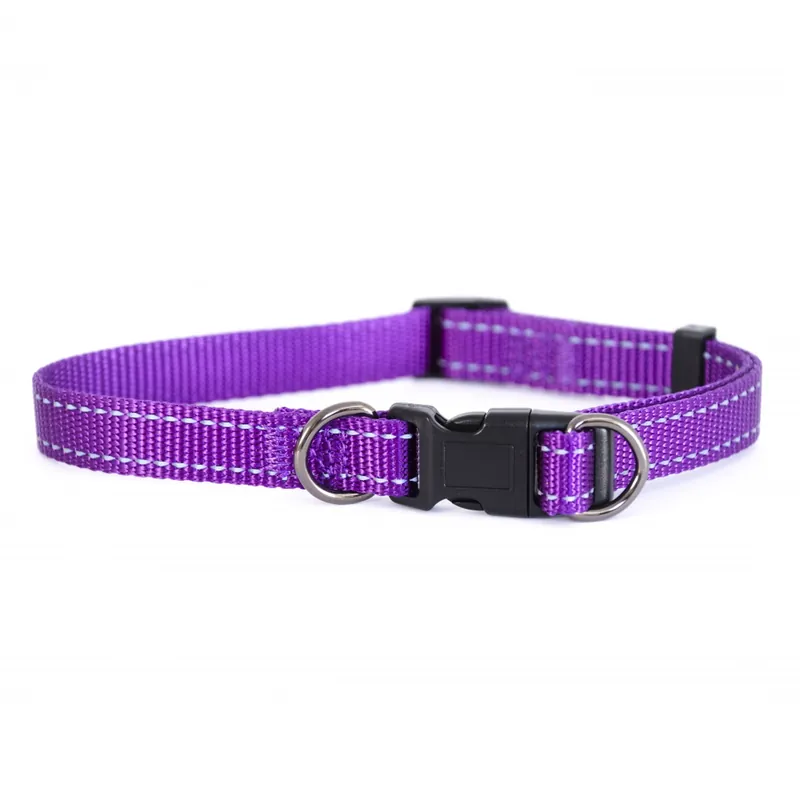Dogman Nylonhalsband Iris Lila (22-35 cm) Reapris