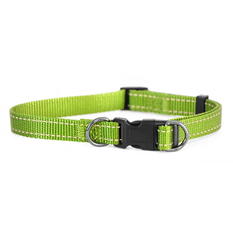 Nyhet Dogman Nylonhalsband Iris Limegrön (35-60 cm)