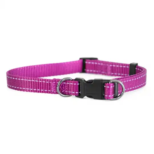 Handla nu Dogman Nylonhalsband Iris Rosa (22-35 cm)
