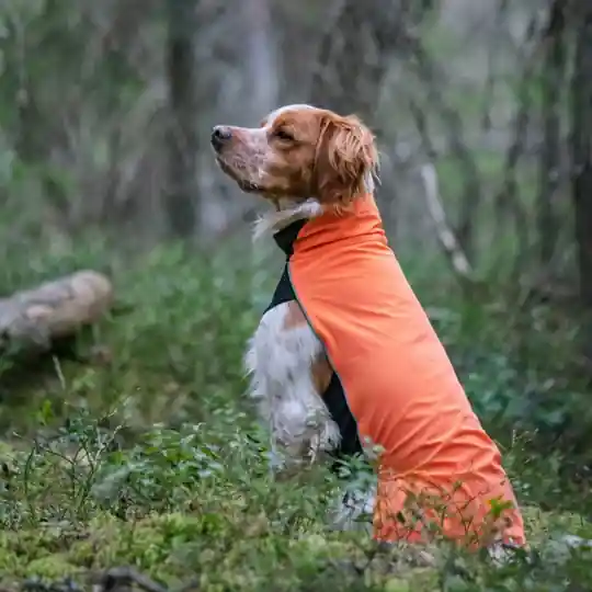Nedsatt pris Feel Active Drammen Hundtröja Orange (25 cm)
