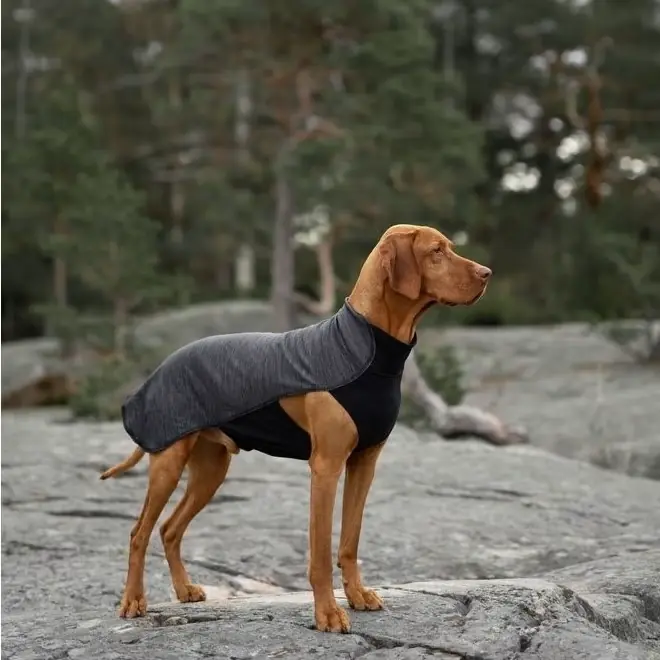 Feel Active Oslo Hundtröja Grå (20 cm) Nyhet