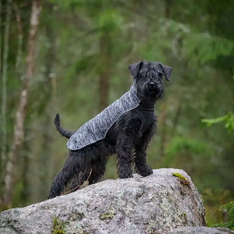 Feel Active Salla Hundtröja Grå (25 cm) I lager
