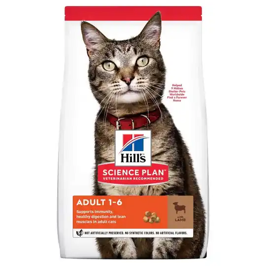 I lager Hill‘s Science Plan Cat Adult Lamb (1,5 kg)