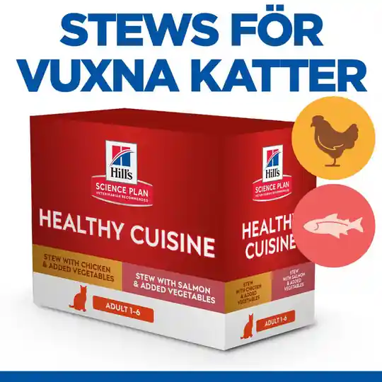 Begränsat erbjudande Hill‘s Science Plan Feline Adult Healthy Cuisine Chicken & Salmon 12x80 g