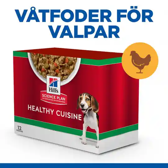 Begränsad tid Hill‘s Science Plan Puppy Medium & Large Healthy Cuisine Chicken Stew 12x90 g