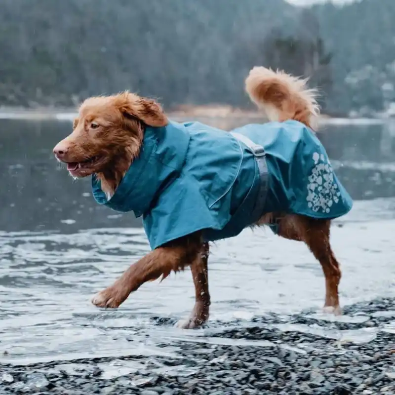 Endast denna vecka Hurtta Monsoon Hundtäcke Blå (20 cm)