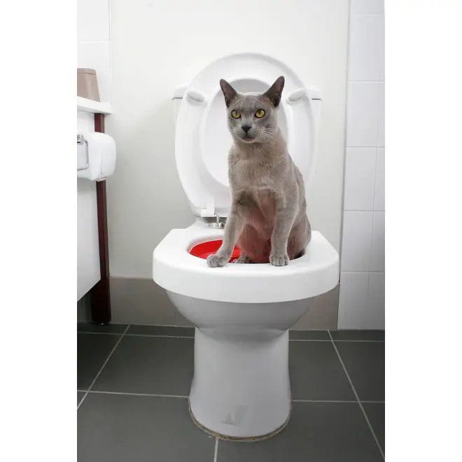 Premium Litter Kwitter